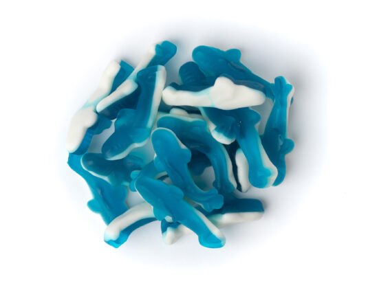 540491-Gummy Blue sharks