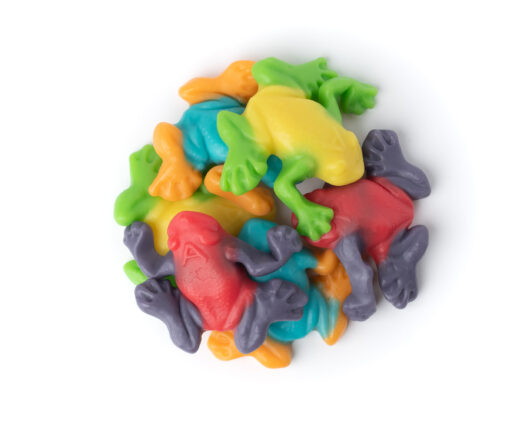 541125-Gummy Rainforest Frog