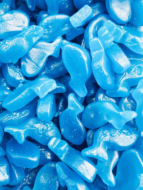 Blue Whales 300g *New*
