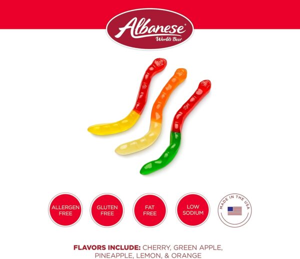 Albanese Large Assorted Fruit Gummi Worms 5 lbs