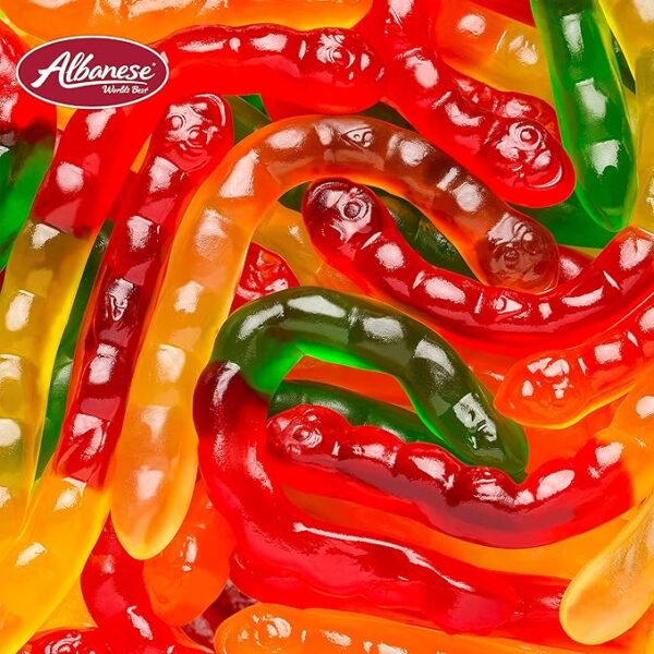 Albanese Large Assorted Fruit Gummi Worms 5 lbs