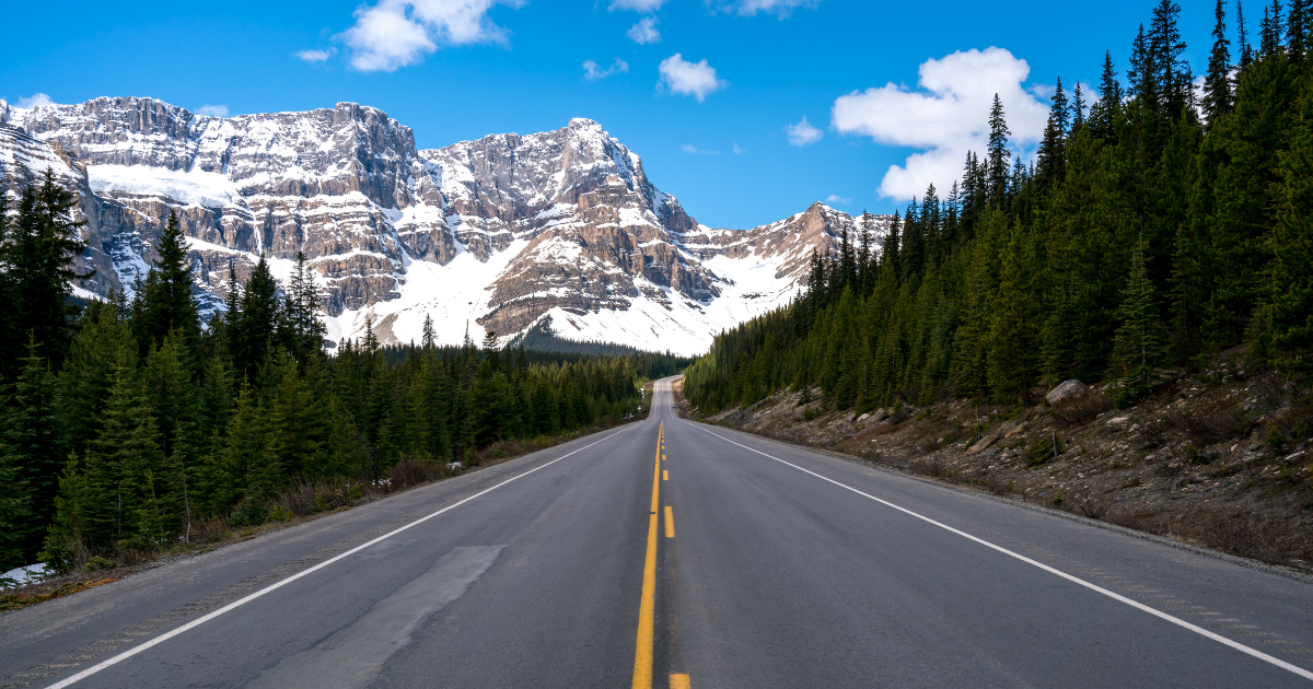 The Top 5 Best Road Trip Snacks: Cottage Country