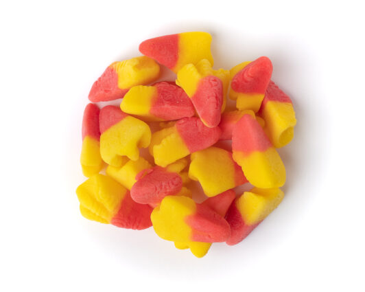 541088-Gummy Chicken Feet